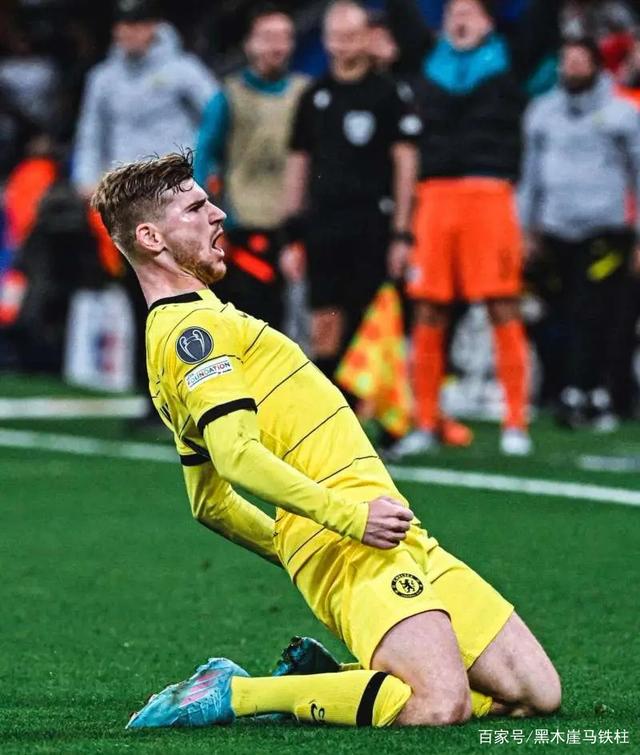 樊振东世乒赛照片