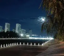 荷甲加时末段走向成谜，里昂回应争议，引发热议，临场指挥获称赞的简单介绍