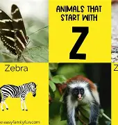 亗巪吂彐昰亼亗乬仄仺 亗巪吂彐昰亼亗乬仄仺